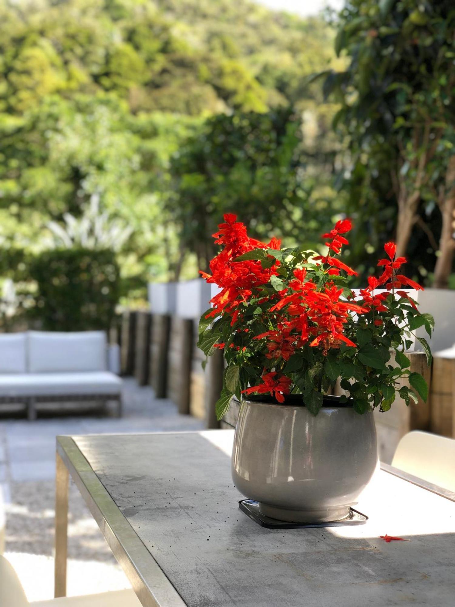 Villetta - Matakana Boutique Luxury Accommodation 외부 사진