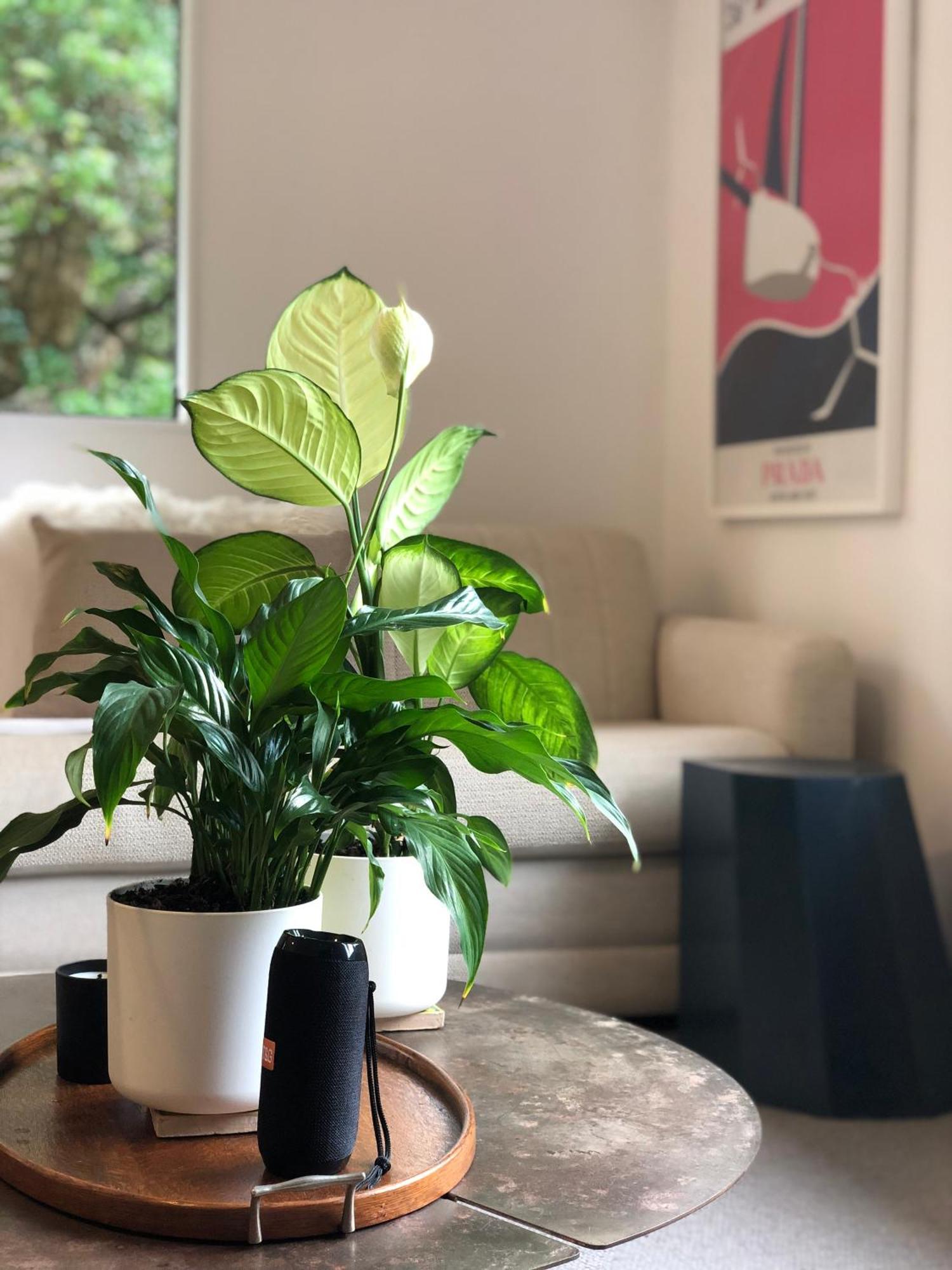 Villetta - Matakana Boutique Luxury Accommodation 외부 사진